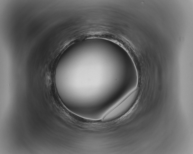 X0000114591353200910191549