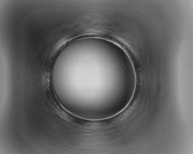X0000114591355200910191548