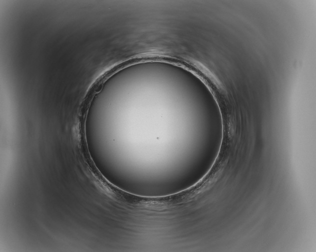 X0000114591356200910191548