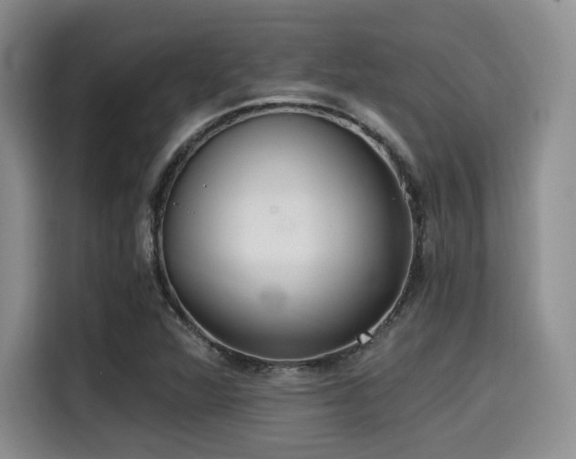X0000114591360200910191548