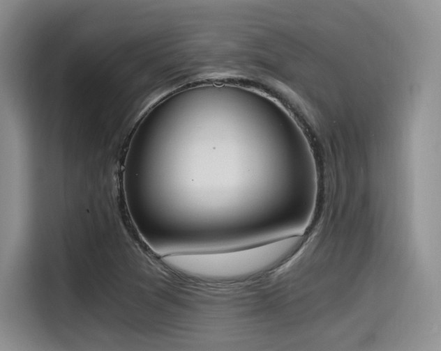 X0000114591361200910191548