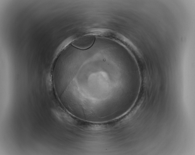 X0000114591362200910191548