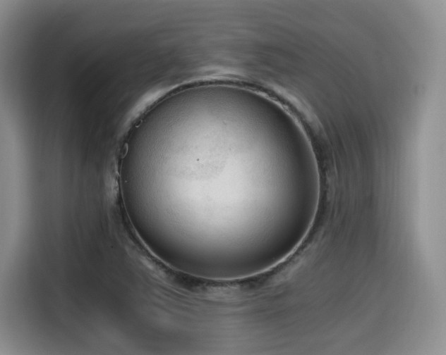 X0000114591363200910191548
