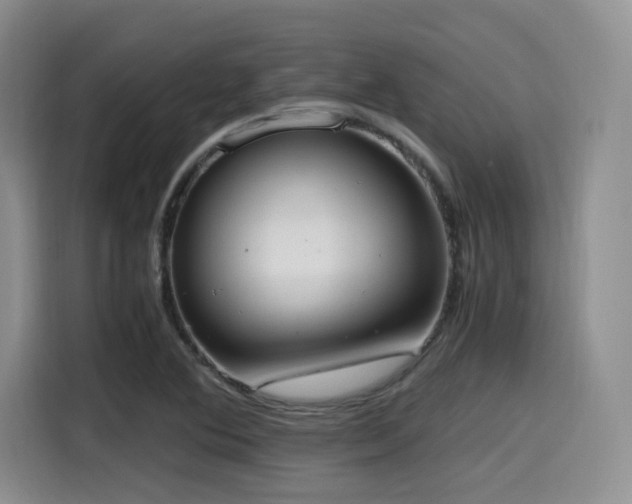 X0000114591364200910191548