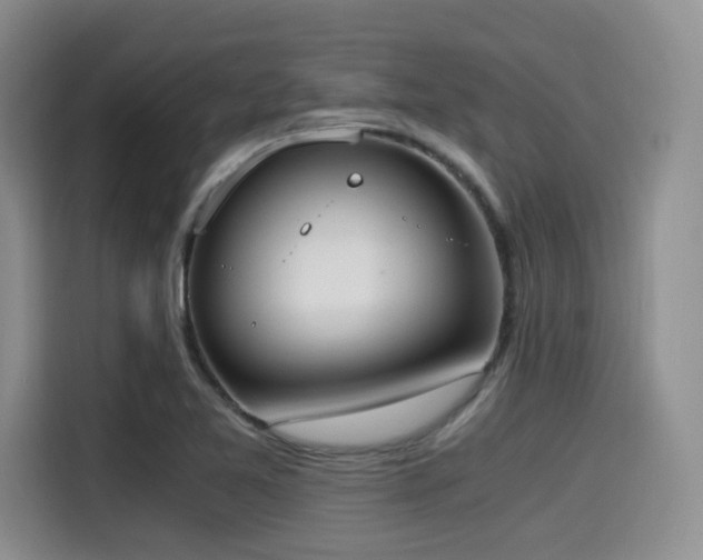 X0000114591365200910191548