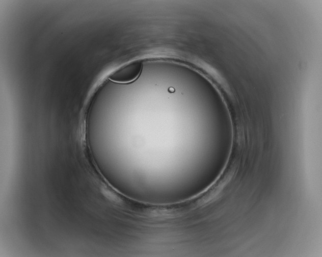 X0000114591366200910191548