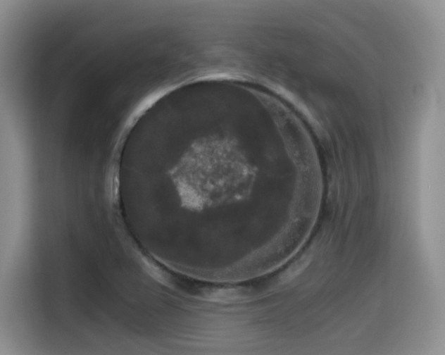 X0000114591367200910191548