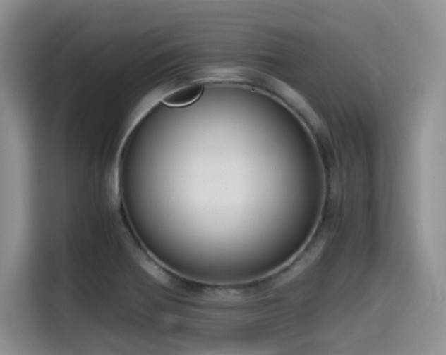 X0000114591370200910191548