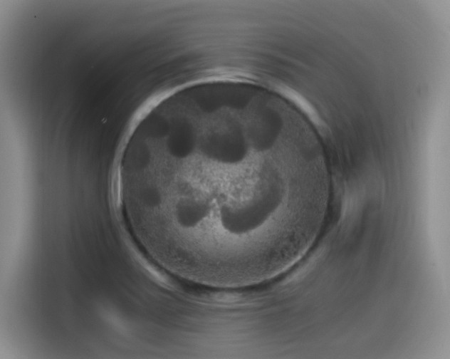 X0000114591371200910191548