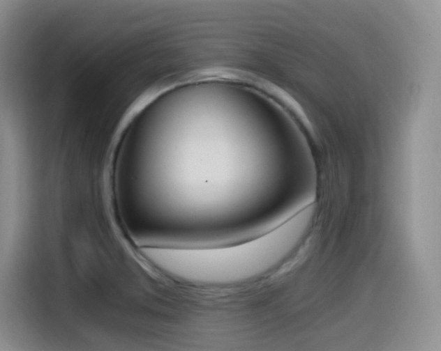 X0000114591373200910191548