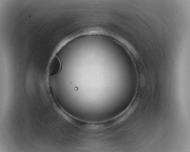 X0000114591374200910191548