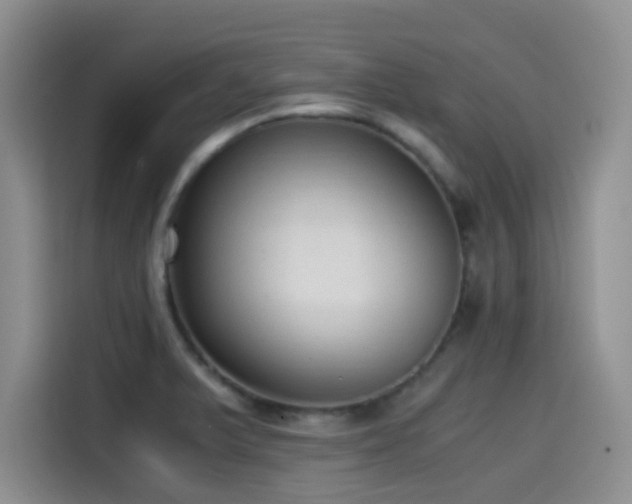 X0000114591375200910191548