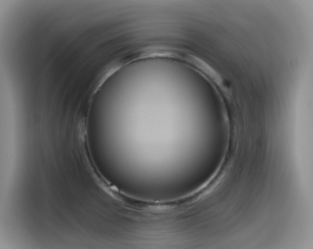 X0000114591377200910191548