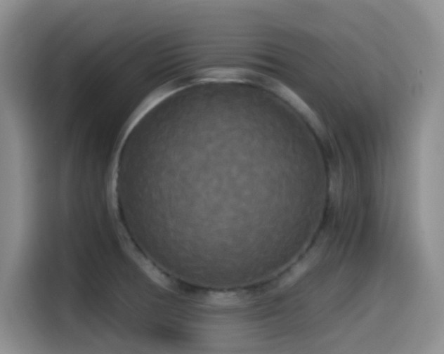 X0000114591378200910191548