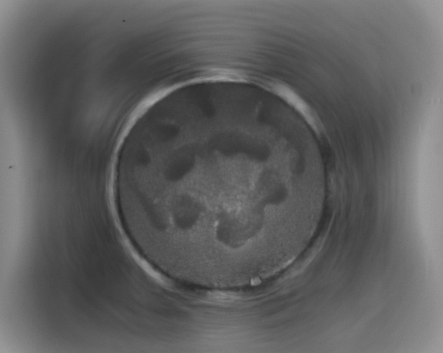 X0000114591379200910191548