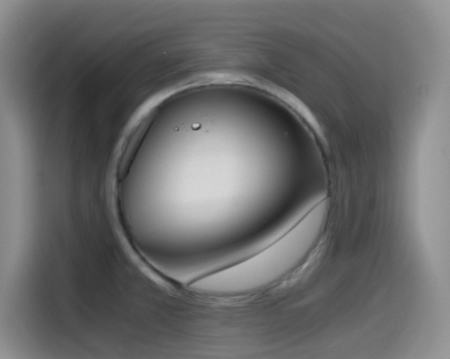X0000114591381200910191548
