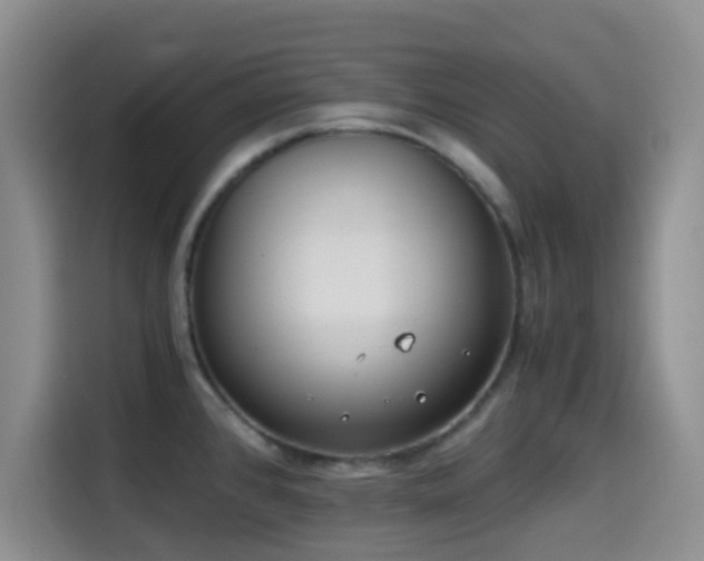 X0000114591384200910191548