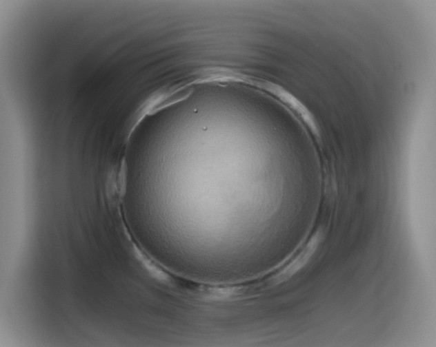 X0000114591385200910191548