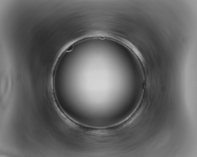 X0000114591388200910191548