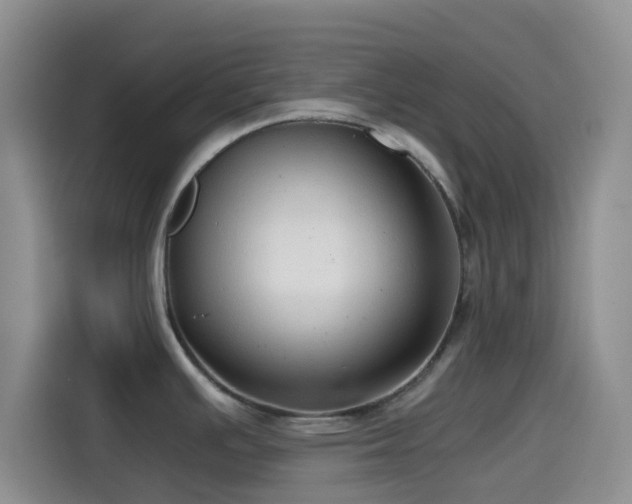 X0000114591391200910191548