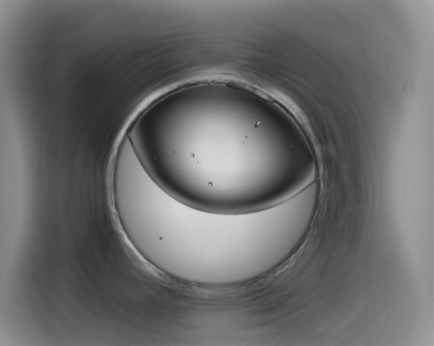 X0000114591392200910191548