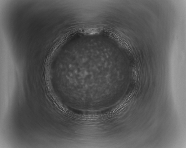 X0000114591393200910191547