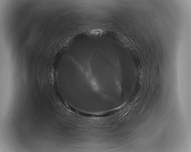 X0000114591394200910191547