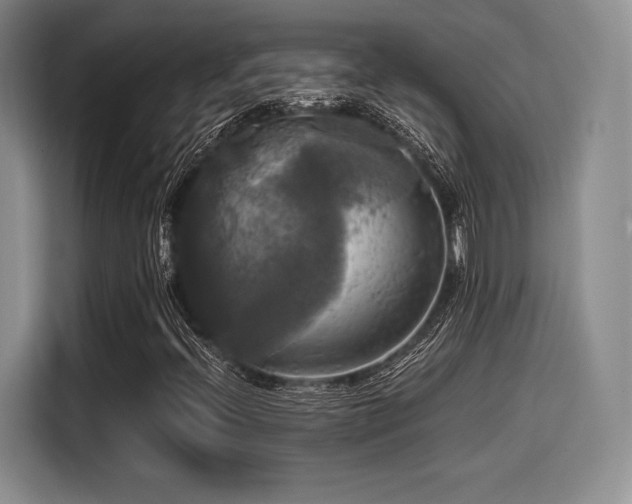 X0000114591396200910191547