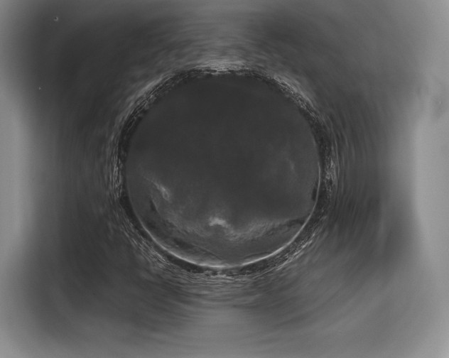 X0000114591398200910191547