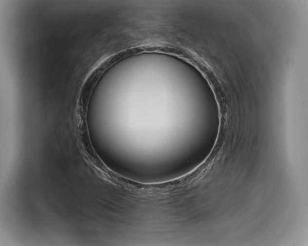 X0000114591400200910191547