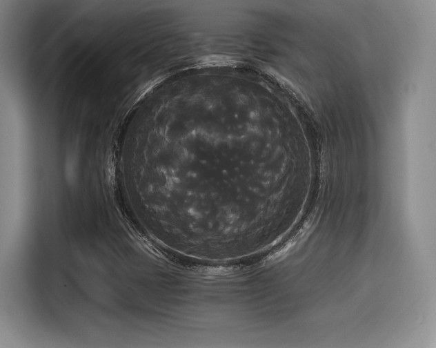 X0000114591401200910191547