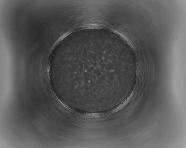 X0000114591402200910191548