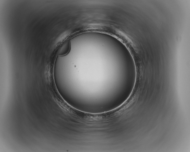 X0000114591403200910191548