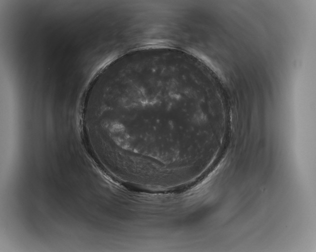 X0000114591405200910191548