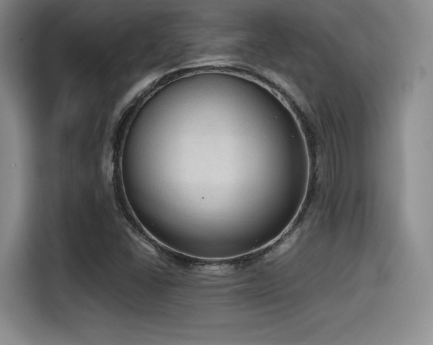 X0000114591406200910191548