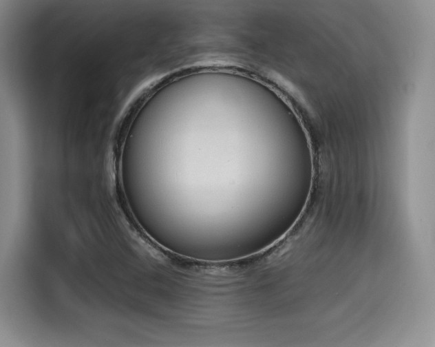 X0000114591408200910191548