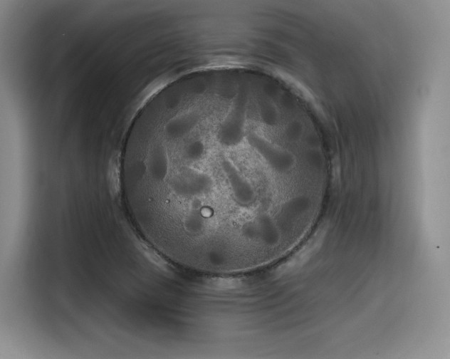 X0000114591409200910191548