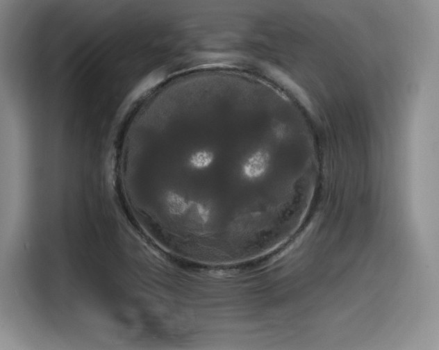 X0000114591411200910191548