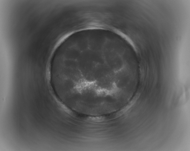 X0000114591415200910191548