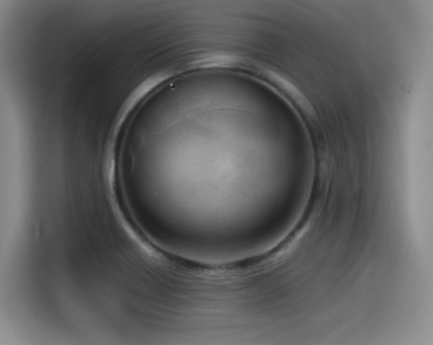 X0000114591418200910191548