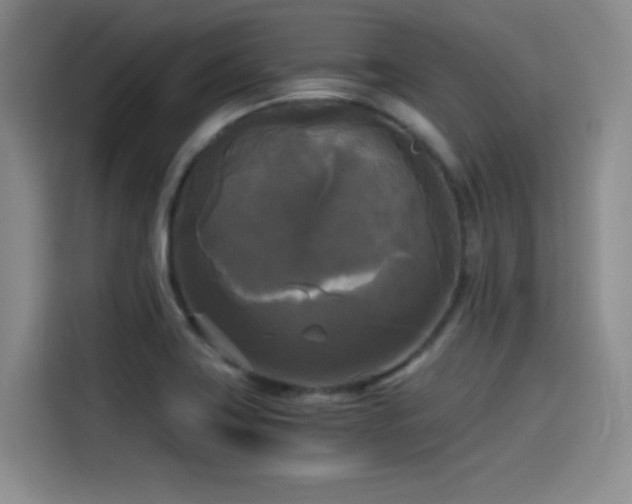 X0000114591419200910191548