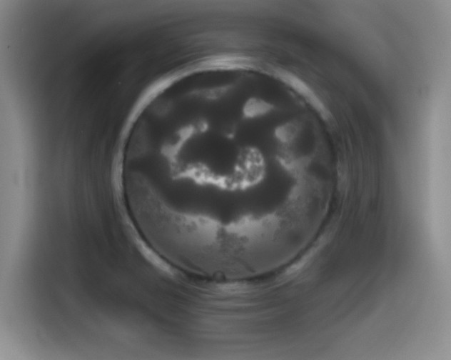X0000114591421200910191548