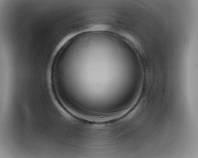 X0000114591422200910191548