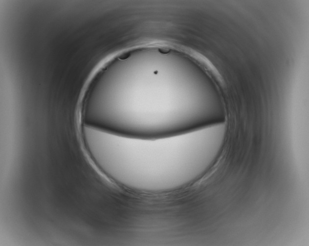 X0000114591424200910191548