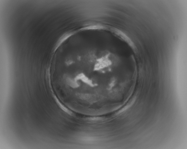 X0000114591425200910191548