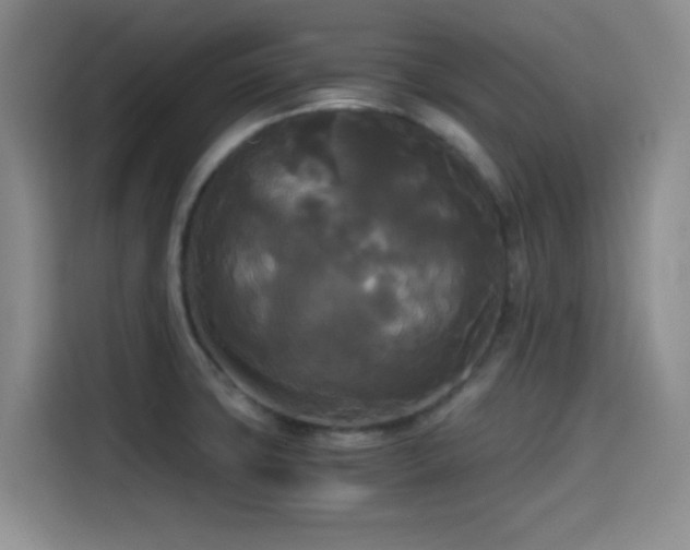 X0000114591427200910191548
