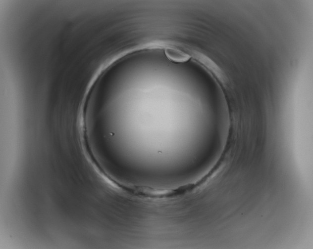 X0000114591428200910191548
