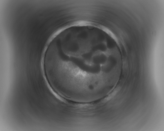 X0000114591429200910191548