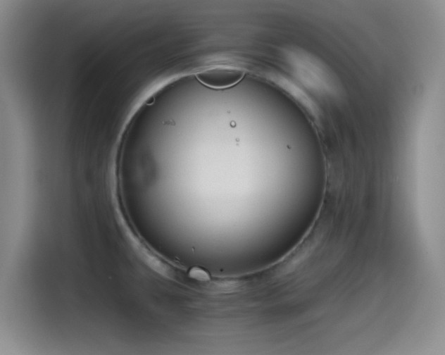 X0000114591431200910191548