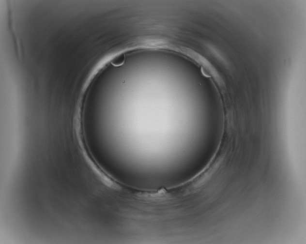 X0000114591432200910191548